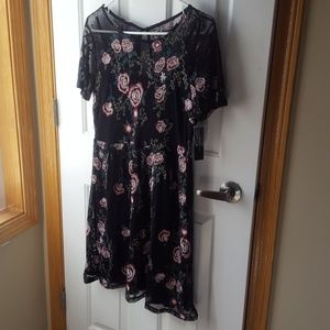 NWT lace embroidered dress, size 8
